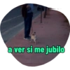 a ver si me jubilo
