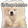 Sin tiempo hermano @Vickyrash