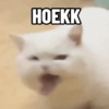 HOEKK