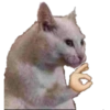 Meme reaction 2 12