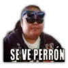 24
SE VE PERRON