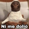Geysioy
Ni me dolió