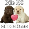 Dile NO
al racismo