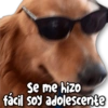 🌀 MEMES Random 5.5 😜💙 28