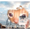 toma awa