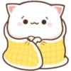 Mochi & cats 😻 8