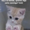 Voy a la tienda, quieres algo
serio conmigo? UwU