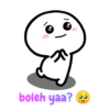 boleh yaa?