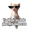 @SoyChoogomilg Ya llegó su lodo pinches puercos