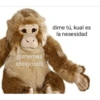 @memes chisyosos dime tú, kual es la nesesidad