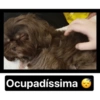 Lola Cristina mizanzuk 7