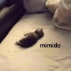 mimido