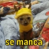 se manca