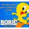 Hermoso dia para condonar Vel CAE BORIC PRESIDENTE