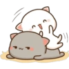 Gatinhos apaixonados 9