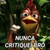 NUNCA CRITIQUEI BRO