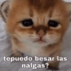 tepuedo besar las
nalgas?