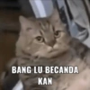 BANG LU BECANDA ΚΑΝ