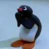 Pingu  26
