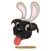 @CACAUSANDO