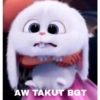 AW TAKUT BGT