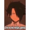 A mi no me metan, perros