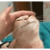 TRENDING MEMES 9