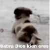 Sabrá Dios kien eres