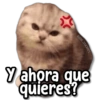 26
kane...stickers
Y ahora que
quieres?