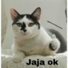 @gatitosantidepresivos Jaja ok