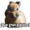¡Que gran plátano!