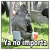 Love se foto 6 Ya no importa
