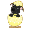 @CACAUSANDO