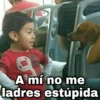 A mí no me
ladres estúpida