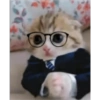 Gatinho de Terno 9
