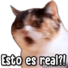 Esto es real?!
Kance sucher's