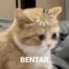 BENTAR