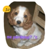 :( me persones?"