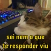 sei nem o que
te responder viu