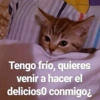 ❤️Shitposting de Amor❤️ 29