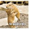 te quiero bro
