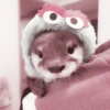 Animales 11