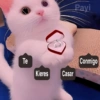 Gatitos Shitposting 2 7