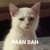 PAAN DAH