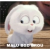 MALU BGD BROU
