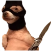 Memes pa' no pelear 14