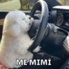 ME MIMÍ
M