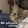 Me encanta hablar contigo @Harley_Stickers