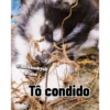 @buckhuskysib
eriano
Tô condido