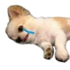 Memes tristes 9